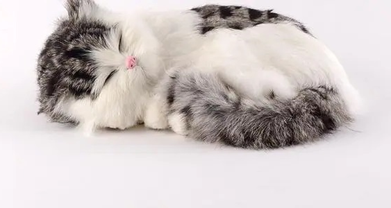 猫咪嗜睡是生病了吗？